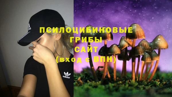 мяу мяу мука Вязники