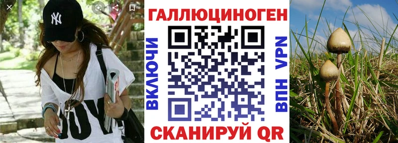 Галлюциногенные грибы Magic Shrooms  ссылка на мегу tor  Знаменск  где купить наркоту 